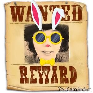 Meet your Posher, Arnold